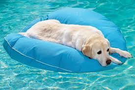 oroscopo luglio scorpione: materassino imperiale materassino