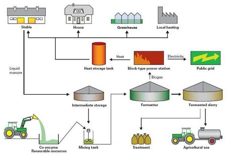 schema biogas