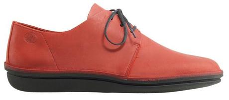 Loints of Holland Loints of Holland