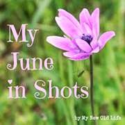My June in shot