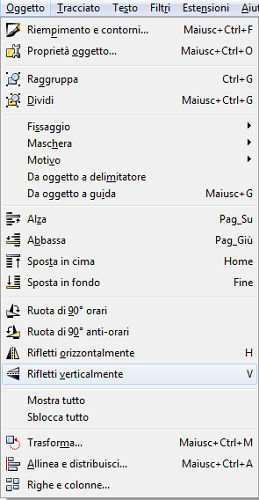 Riflessione verticale Riflessione verticale