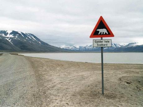 Svalbard - Norvegia