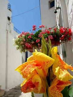 Ostuni, la città bianca.