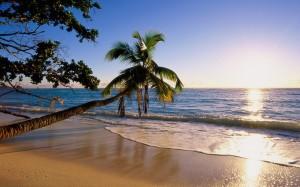 Seychelles: tra spiagge, coralli e natura lussureggiante