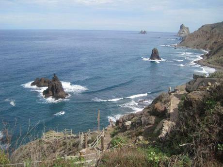 Le canarie in pillole, Tenerife e i microclimi