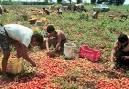 Un articolo rifiutato Un articolo rifiutato