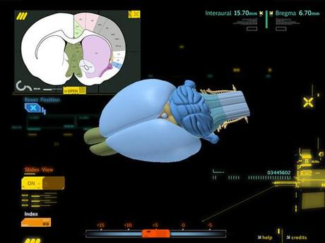 Neuropharmacology Atlas, cervello di topo 3D interattivo per iPad