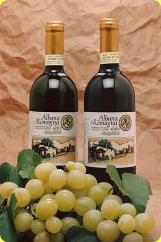 vino albana di romagna