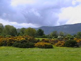 Carrickfergus (Irlanda)