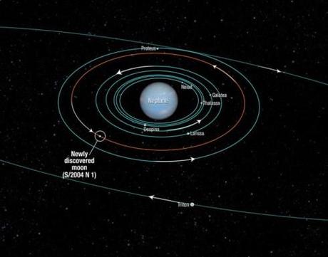 L'orbita della nuova luna nel sistema intorno a Nettuno