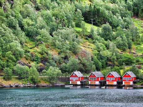 Four pure Norway Four pure Norway