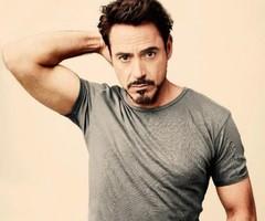 robert downey jr