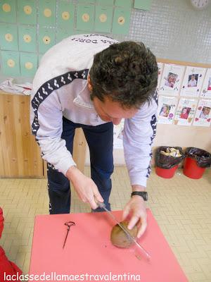 CERCO PAPA’ PER APRIRE UN COCCO CERCO PAPA’ PER APRIRE UN COCCO