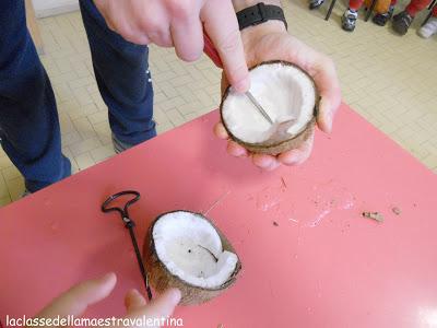 CERCO PAPA’ PER APRIRE UN COCCO CERCO PAPA’ PER APRIRE UN COCCO