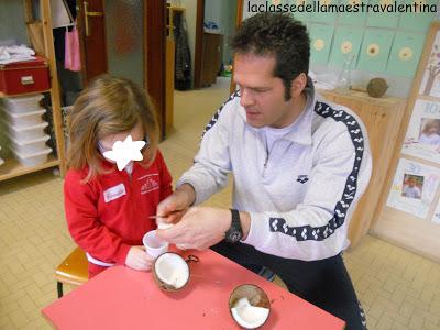 CERCO PAPA’ PER APRIRE UN COCCO CERCO PAPA’ PER APRIRE UN COCCO