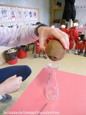 CERCO PAPA’ PER APRIRE UN COCCO CERCO PAPA’ PER APRIRE UN COCCO