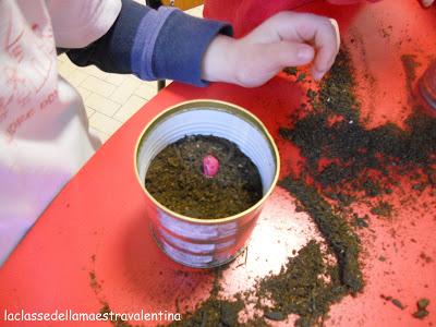 IL FAGIOLO MAGICO IL FAGIOLO MAGICO