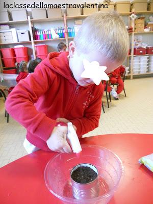 IL FAGIOLO MAGICO IL FAGIOLO MAGICO