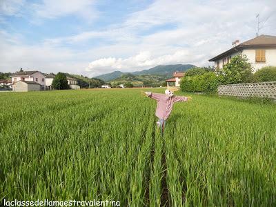 PIPPINO LO SPAVENTAPASSERI PIPPINO LO SPAVENTAPASSERI