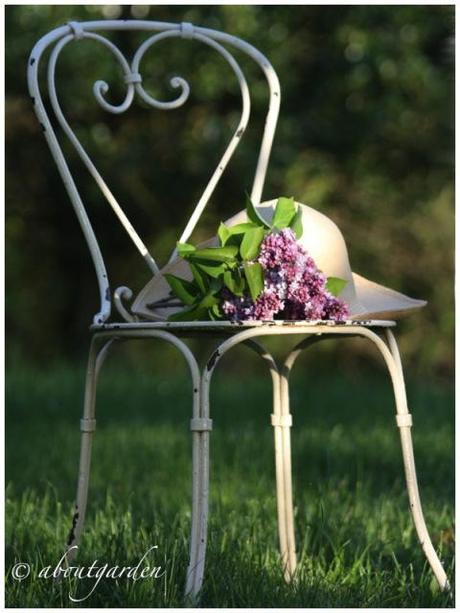 Shabby chic in the garden for you my Shabby garden