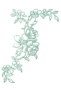 Shabby chic in the garden for you floral vintage copia