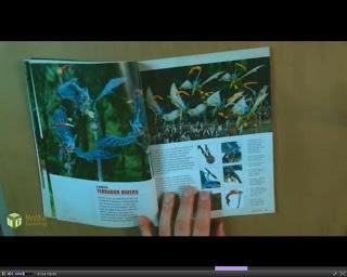 nuxovi uomini lucertola: immagini da white dwarf nuxovi uomini lucertola: immagini da white dwarf