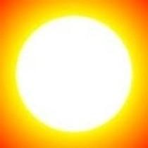 Tre piante amiche della pelle : aloe, calendula, tea tree, usi e differenze. Tre piante amiche della pelle : aloe, calendula, tea tree, usi e differenze.