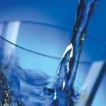 Bere acqua fa bene al cervello: migliora le prestazioni cognitive Bere acqua fa bene al cervello: migliora le prestazioni cognitive