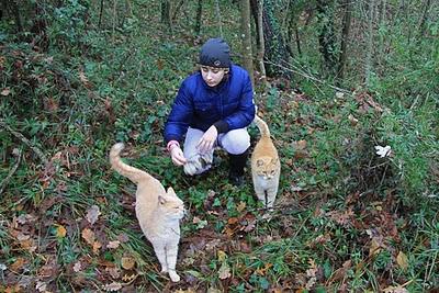 nel bosco, in cerca di ruscelli nel bosco, in cerca di ruscelli