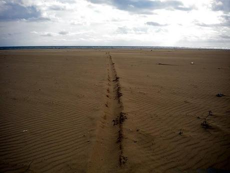 1.1.11 First Run 1.1.11 First Run