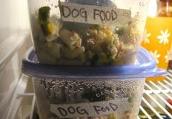 Inaffidabile la maggior parte delle diete casalinghe per il cane