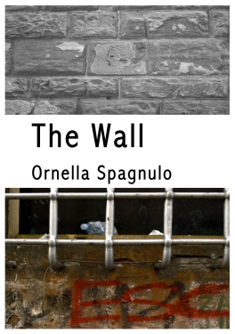 THE WALL ornella spagnulo