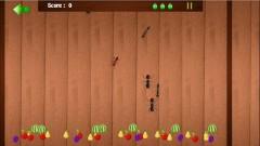 Ant Hitter gioco per windows 8 ideale per tablet pc e dispositivi touch screen, schiaccia le formiche ant hitter1.jpg