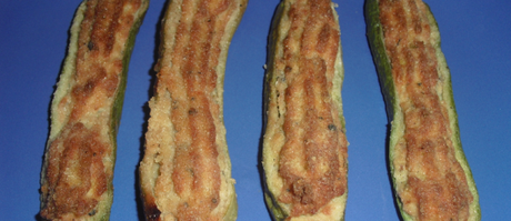 zucchine-ripiene