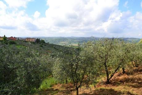 Paradisiaci sapori di Toscana