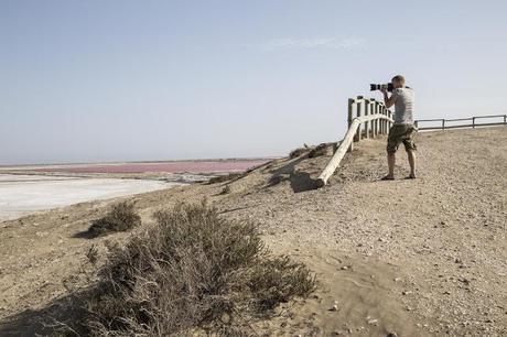 Provenza e Camargue..