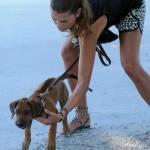 Alena Seredova al parco con i figli e il nuovo cane (foto) Alena Seredova al parco con i figli e il nuovo cane04