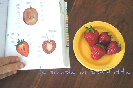 Summer learning fragole