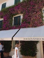 La magia dei colori di Forte dei Marmi e l'atmosfera raffinata di Pietrasanta...