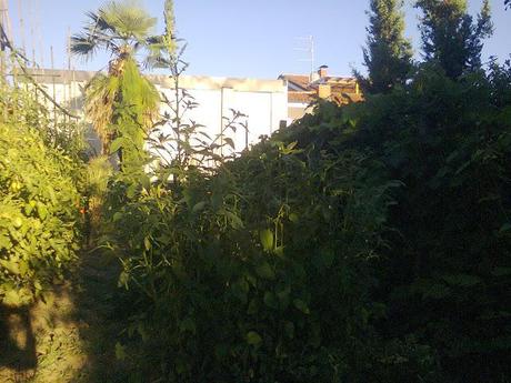 collaborazioni e vlita / βλητα στην Λομπαρντια collaborazioni e vlita / βλητα στην Λομπαρντια