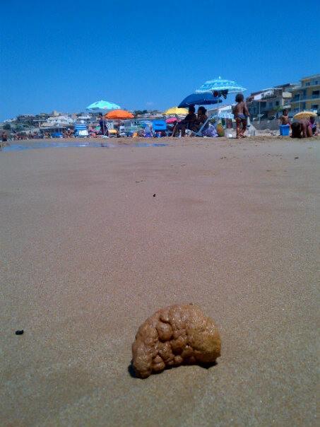 Tutti nuotammo a stento: le condizioni del nostro mare escremento a cada d'aliga