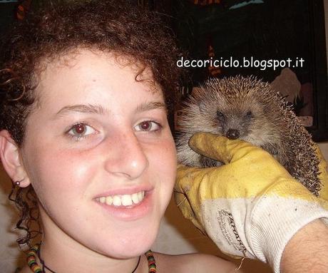 101 Cose Su di Me - 10° e ultima puntata: le cose che mi emozionano e il riccio STA43657