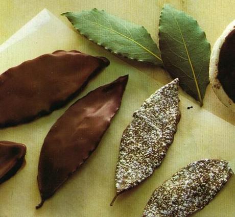 Decorazioni di cioccolato: foglie, riccioli, rotolini....