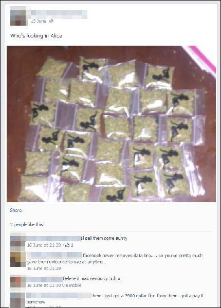 Crea pagina di Fb per vendere Marijuana...un vero genio ( la famiglia dei Dany Lugo diventa sempre più numerosa)