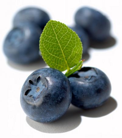 Group of blueberries isolated on white