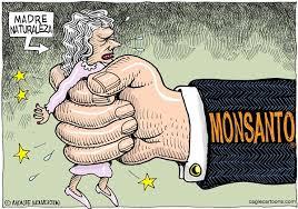 La Monsanto insiste a diffondere Ogm in Europa