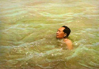 Mao-nuotatore