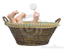 lori handeland - baby basket