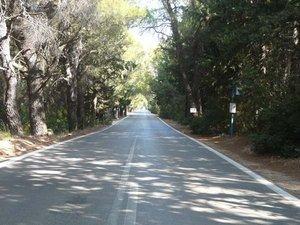 Dal Palazzo Reale di Tatoi all’ennesima vergogna Dal Palazzo Reale di Tatoi all’ennesima vergogna