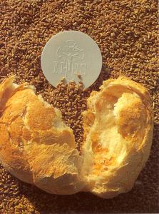 Anno della Fede & GMG Rio 2013: post #12 GMG 2013